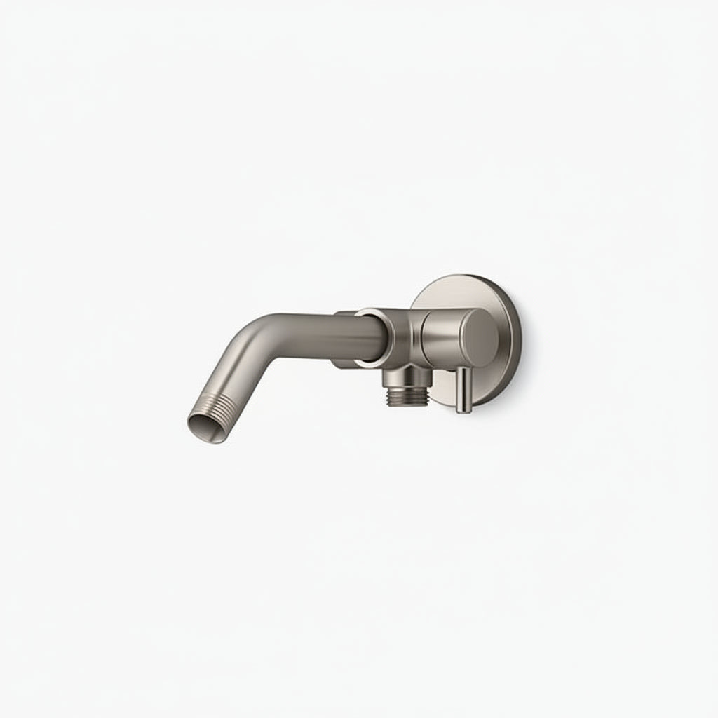 Shower Arm with 2-way Diverter